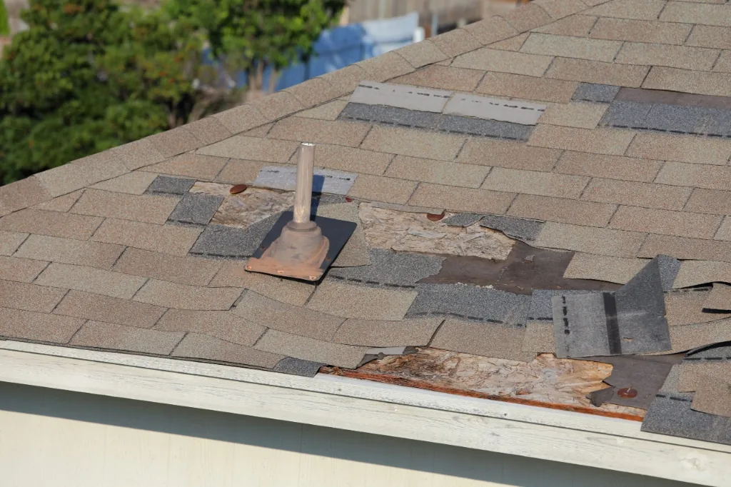 Wind & Hail Damage Public Adjuster image 1