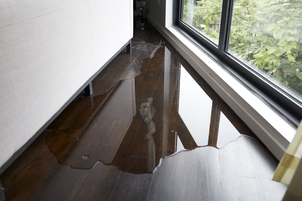 Water Damage Public Adjuster image 1