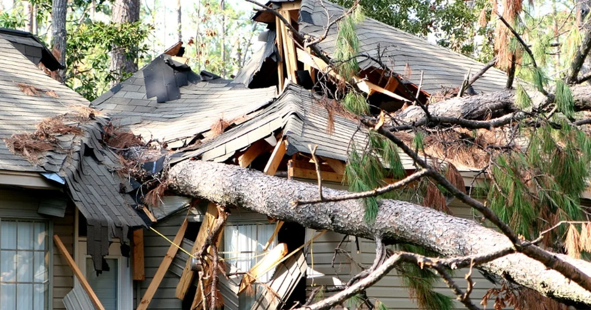 Independent adjusters, staff adjusters, and public adjusters